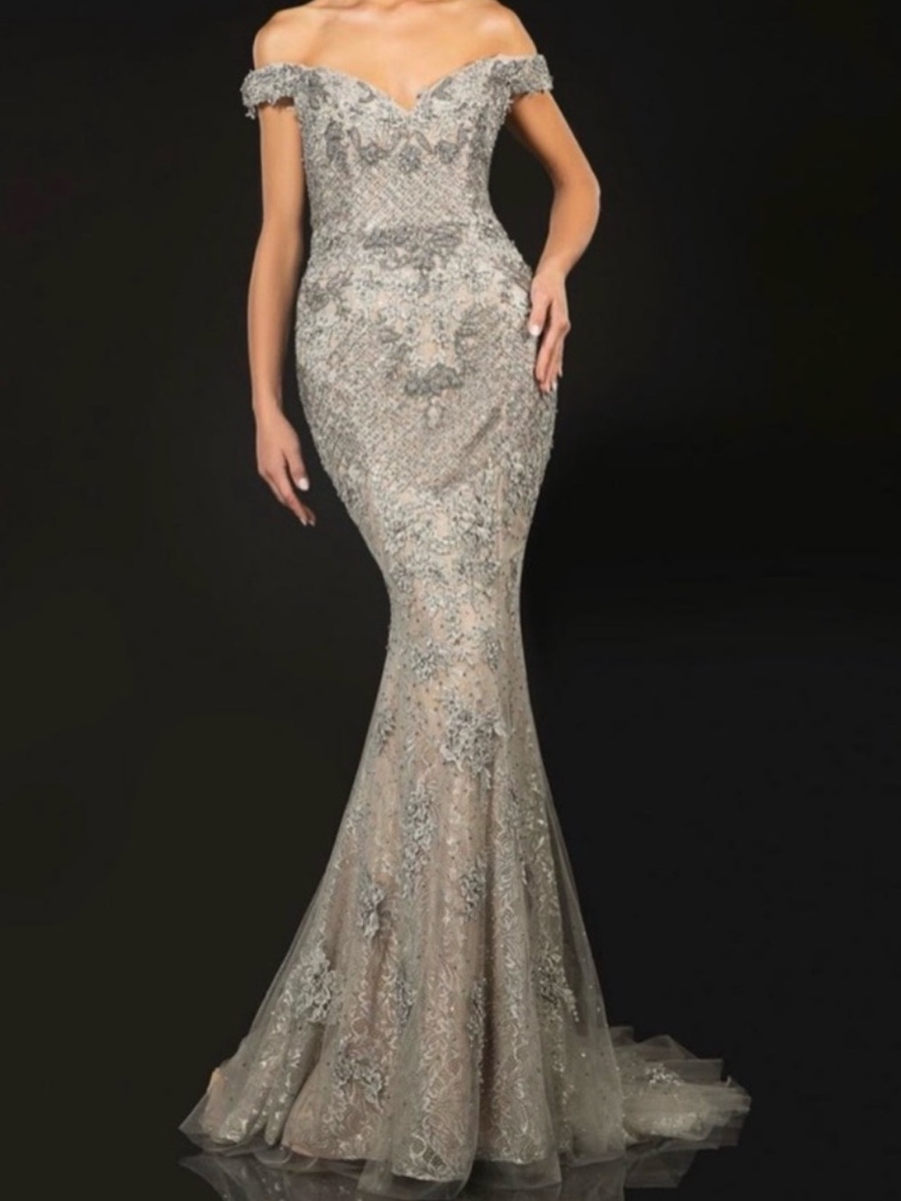 Elegant Off-Shoulder Silver  Terani Couture Evening Gown